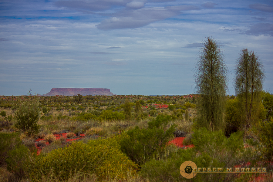 Mt Connor